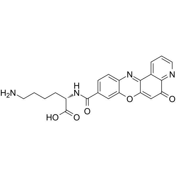 Topoisomerase IIα-IN-1 2407521-87-1
